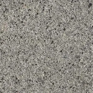 Dolphin Granite